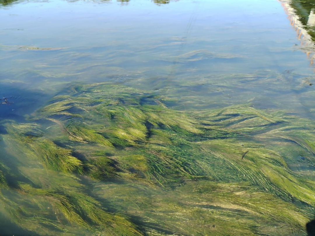 113_2_1776663546.png?wx_fmt=png&from=appmsg