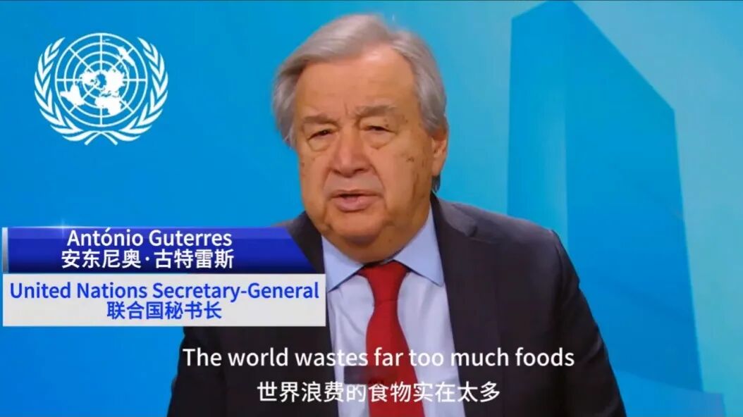 113_3_1775119162.jpeg?wx_fmt=jpeg