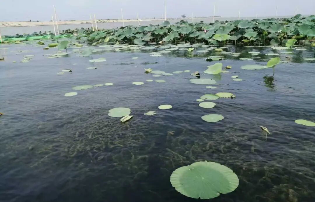 113_3_1776663546.jpeg?wx_fmt=jpeg&from=appmsg