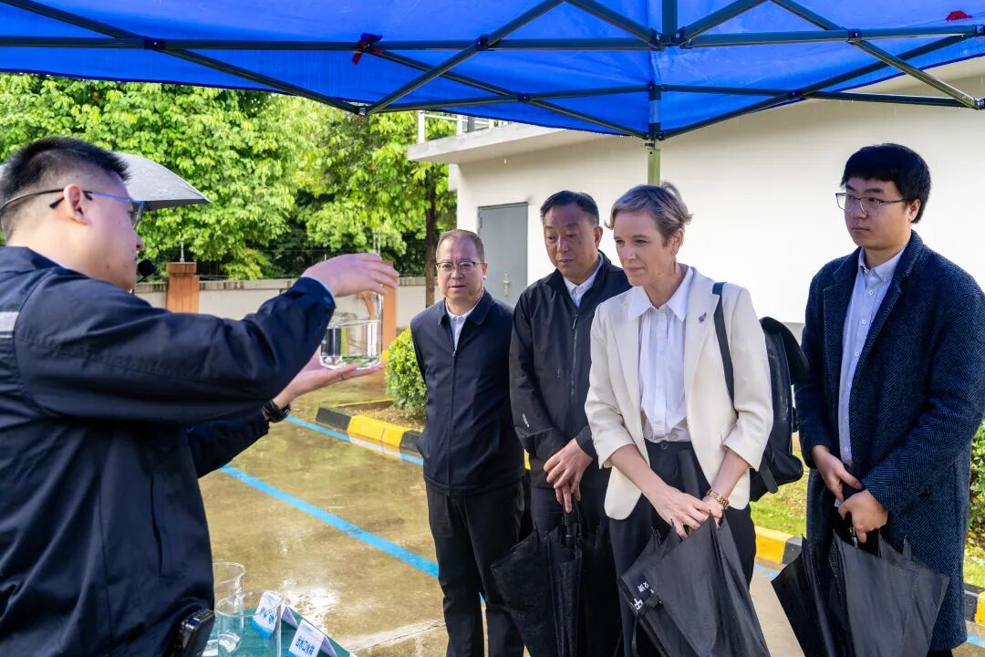 113_3_1777445201.jpeg?wx_fmt=jpeg