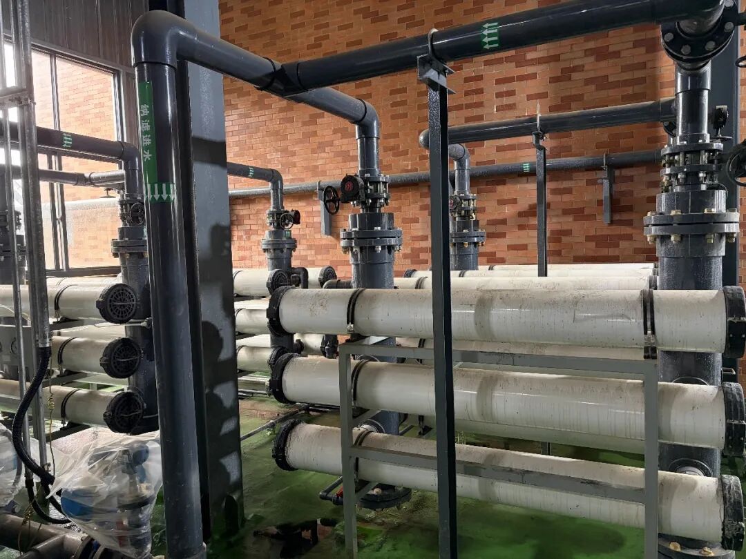 113_4_1776221874.jpeg?wx_fmt=jpeg&from=appmsg