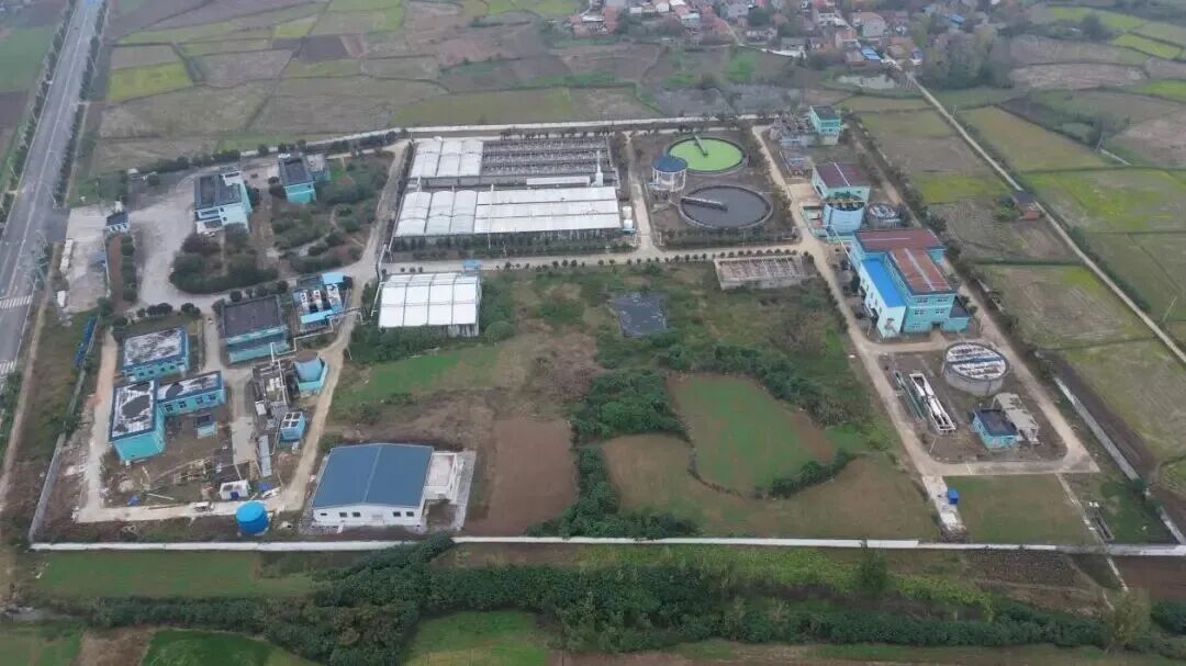 113_4_1776409319.jpeg?wx_fmt=jpeg