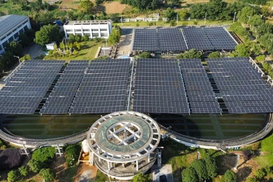 113_4_1776998491.jpeg?wx_fmt=jpeg