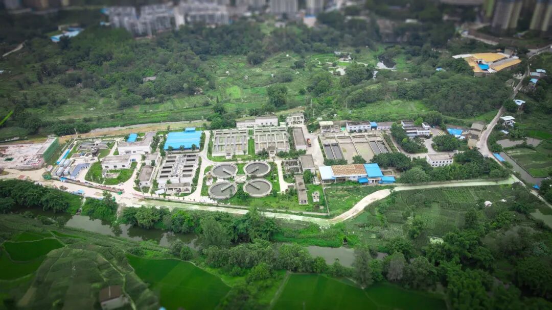 113_5_1775097752.jpeg?wx_fmt=jpeg&from=appmsg