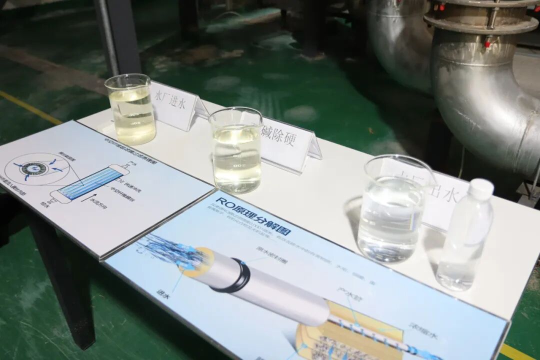 113_5_1776405223.jpeg?wx_fmt=jpeg