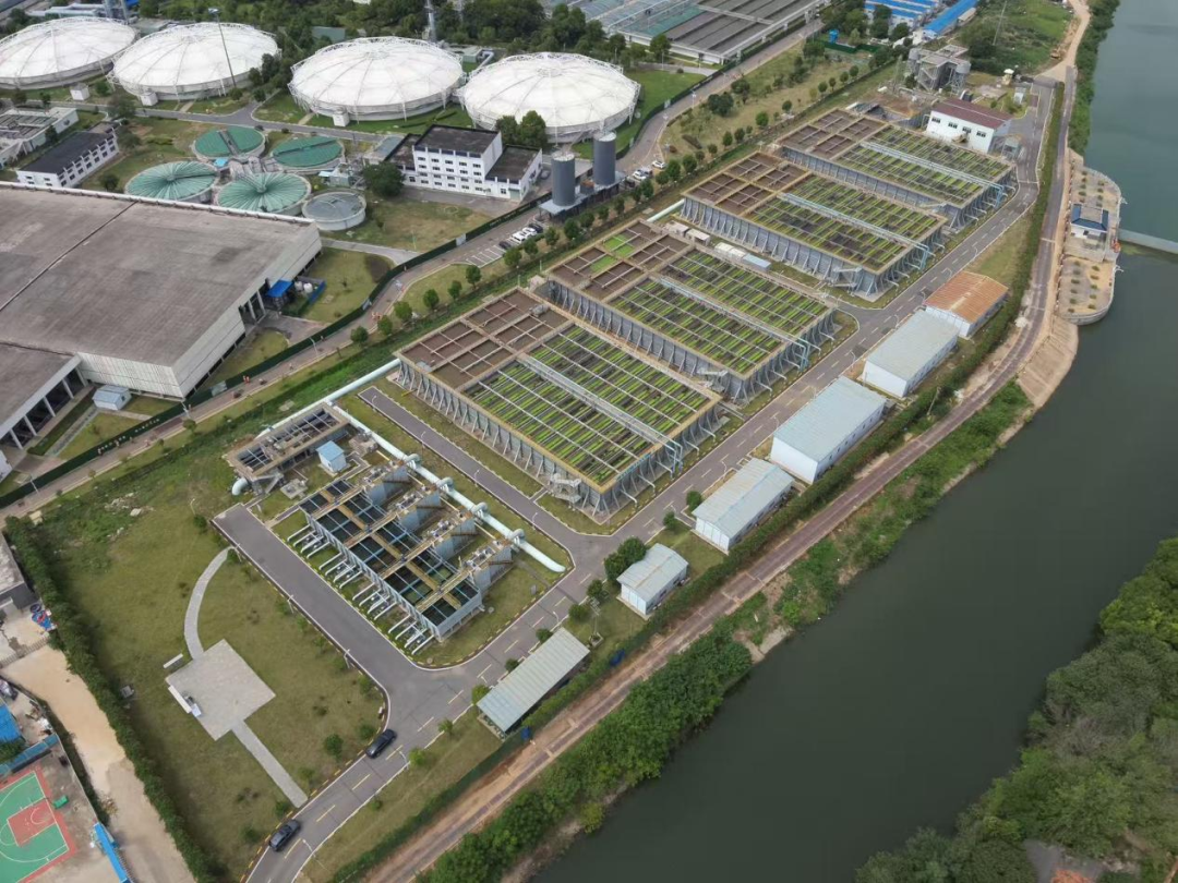 113_6_1776409319.png?wx_fmt=png