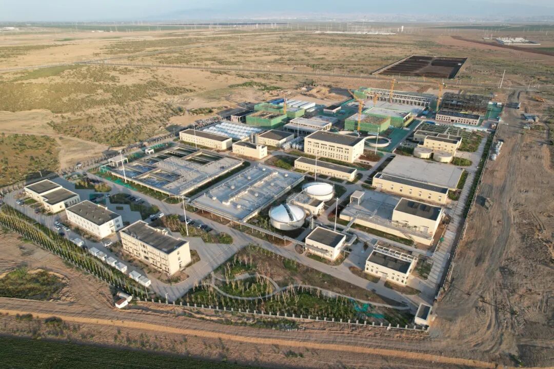 113_9_1776405223.jpeg?wx_fmt=jpeg