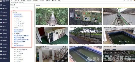 113_9_1777514348.jpeg?wx_fmt=jpeg