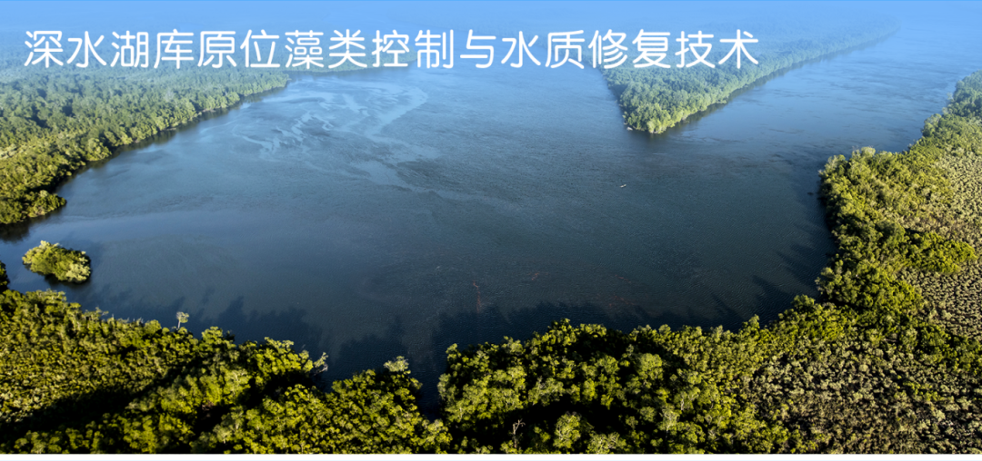 113_10_1779437762.png?from=appmsg