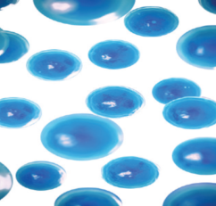 113_9_1779179815.png?wx_fmt=png&from=appmsg