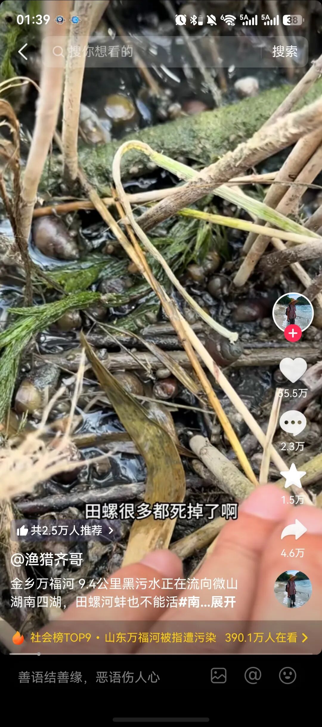 万福河污染实拍图2