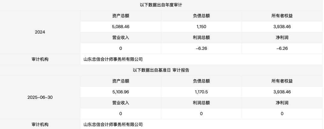 企业财务审计数据表