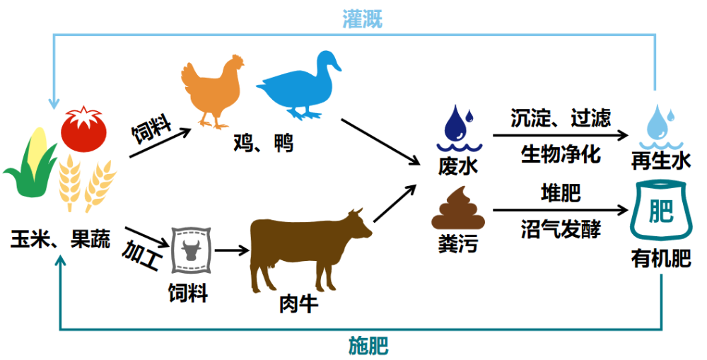 农业循环流程图