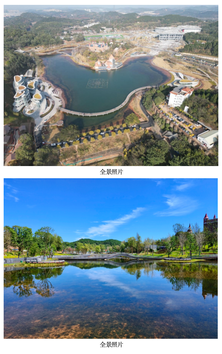 截屏2026-06-15 13.52.23.png