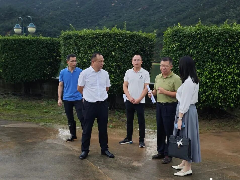 113_2_1783922019.jpeg?wx_fmt=jpeg&from=appmsg