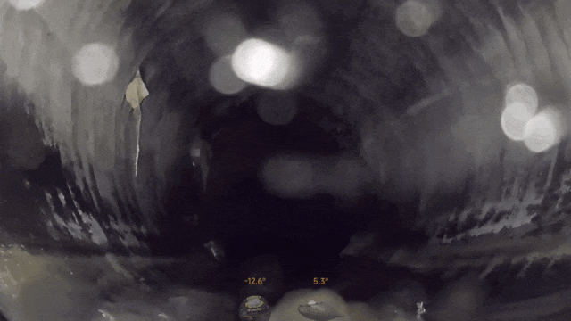 113_7_1784772189.gif?wx_fmt=gif